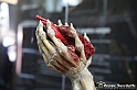 VBS_3106 - Mostra Body Worlds